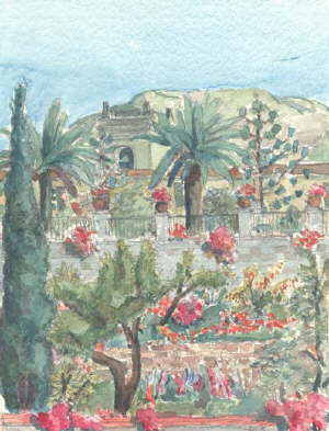 R1222*-Taormina, Domenico, Bougainvillea