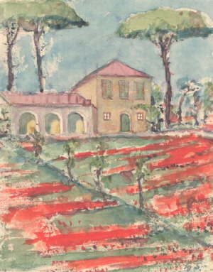 R1227*-Riccione-Venedig, Mohnfelder